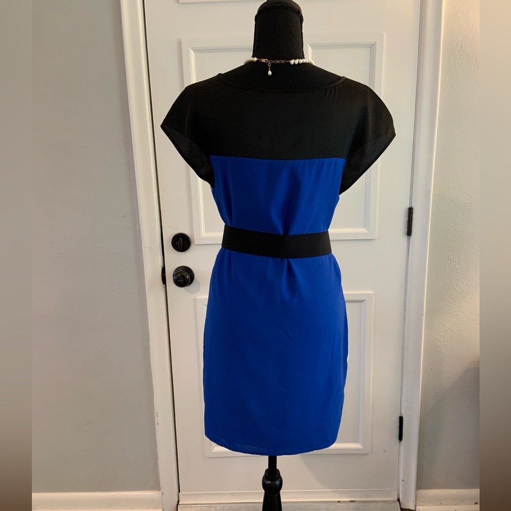 Express Cocktail Shift Dress - Picture 4 of 6